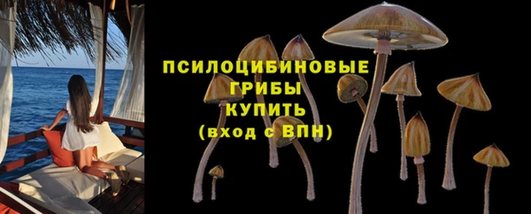 таблы Алзамай