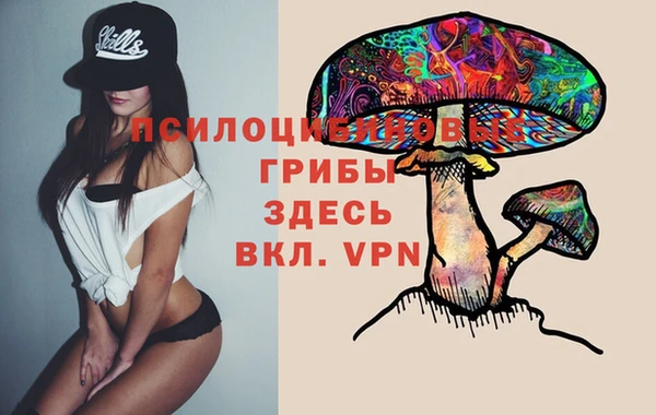 бошки Новозыбков