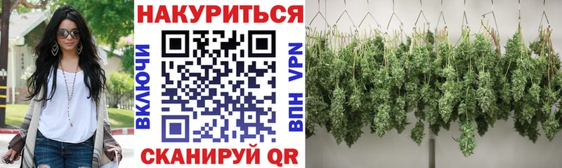 Канабис индика  сколько стоит  Пласт 
